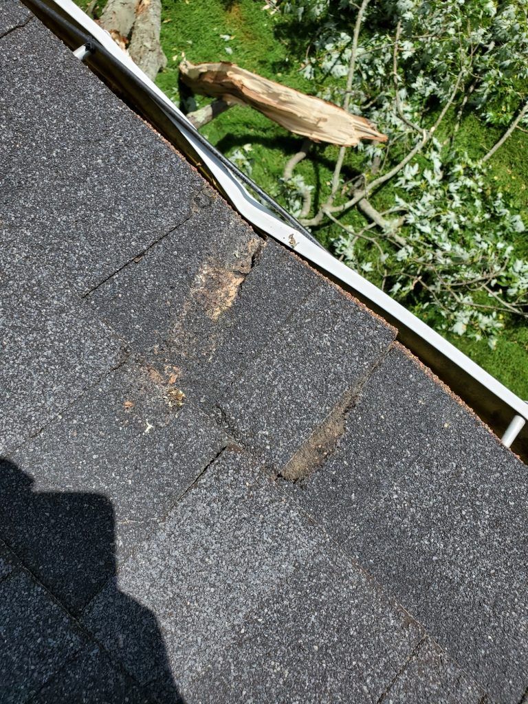 A close up of a roof damaged by a tree.