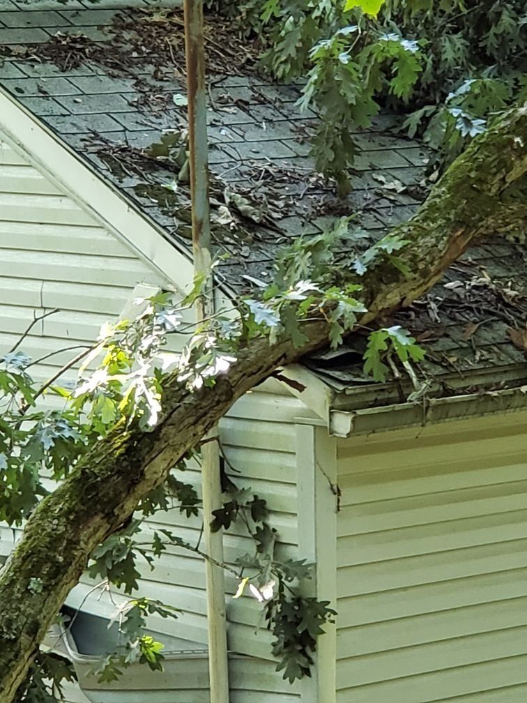 The tree laying rest on the edge of the home's roof.