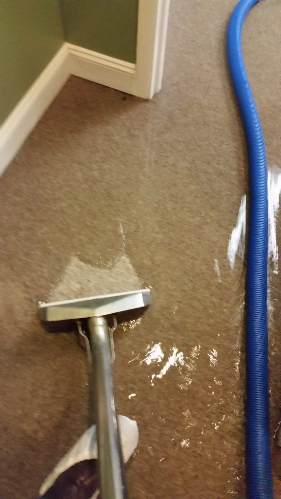 An industrial vacuum cleaner is being used to clean a carpet in a room.