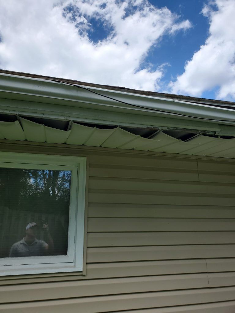 Roof damaged by tree.