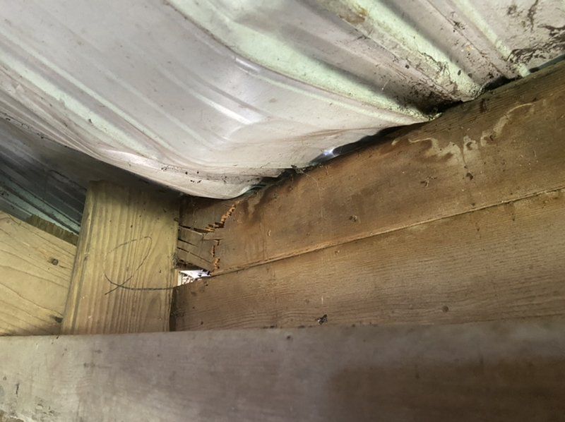 A close up of a piece of wood under a metal roof.