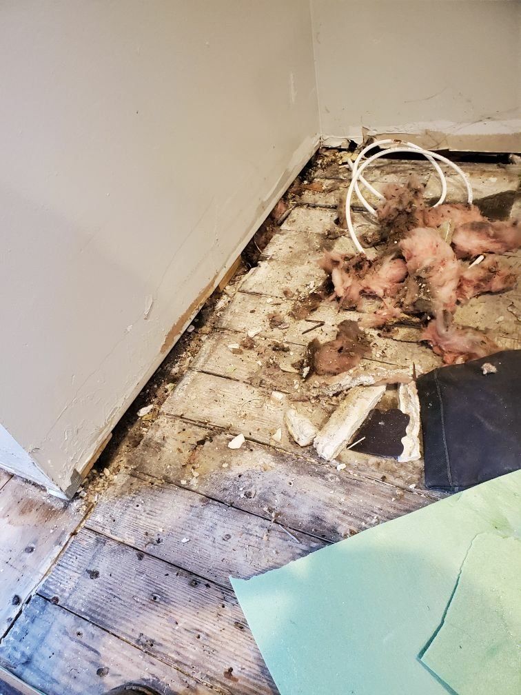 A room with a wooden floor and a brick wall.