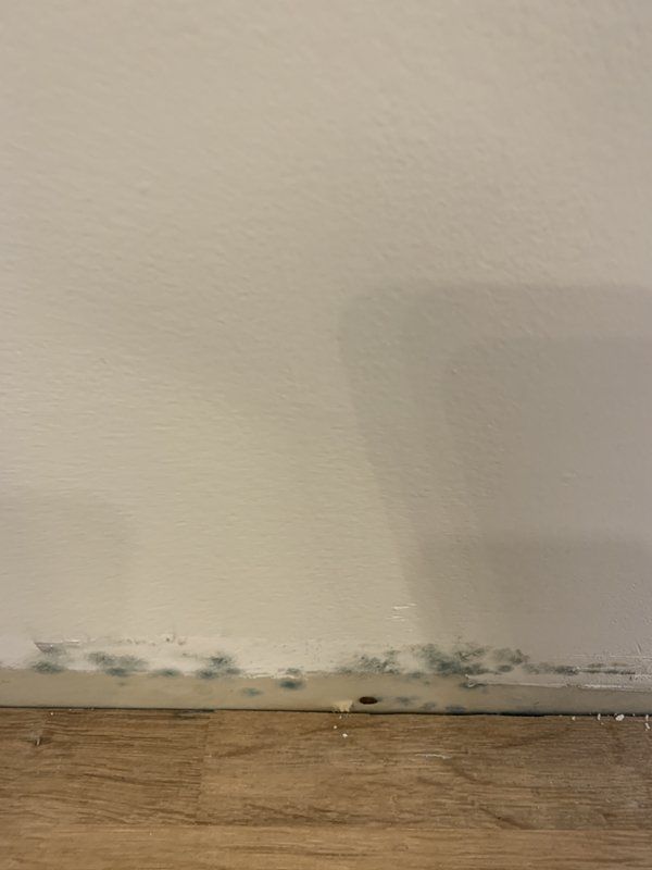 A white wall with a wooden floor underneath it.