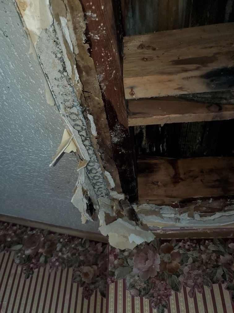 Closeup of water damaged ceiling.