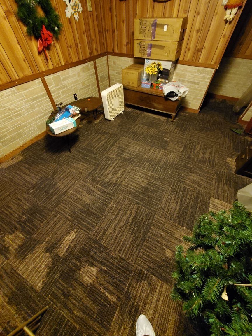 There is a Christmas tree in a carpeted room.