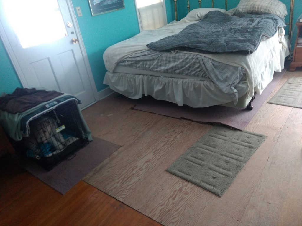 A bedroom with a bed and a dog crate on the floor.