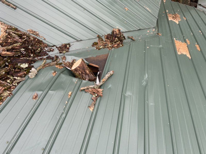 A roof with tree damage.