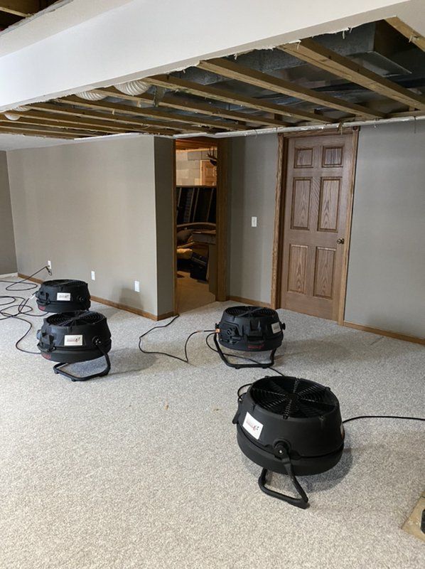 Multiple industrial fans are sitting on a carpeted floor in a basement.
