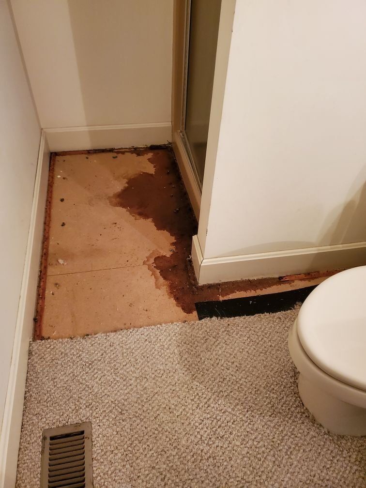 A bathroom with a toilet and a carpeted floor.