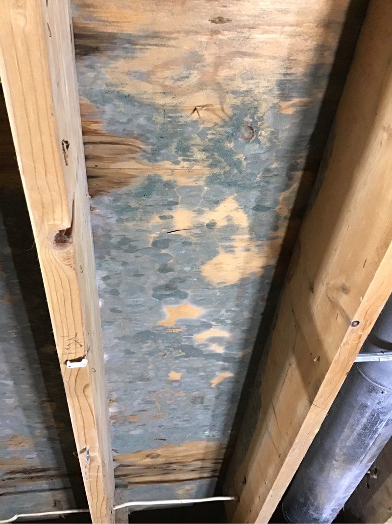 A close up of a wooden ceiling in a building.