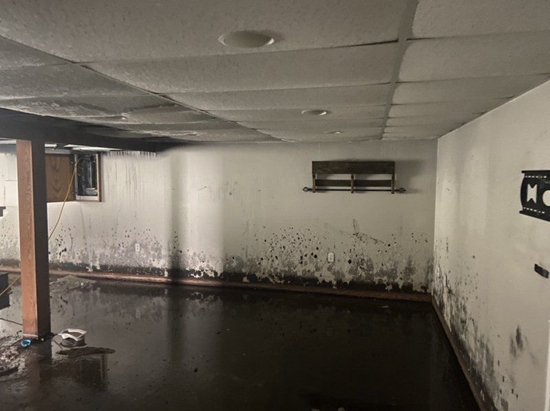 Understanding Water Damage: Causes, Consequences, and Restoration