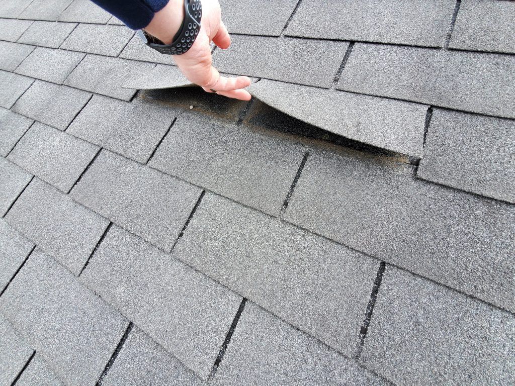 A person is holding a piece of shingles on a roof.