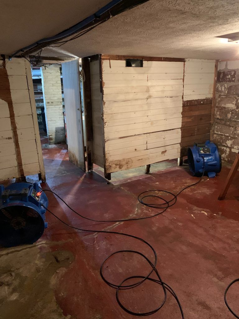 Basement drain backup