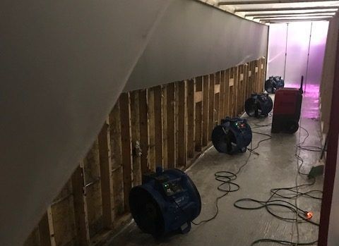 A row of fans are sitting in a hallway next to a wall.