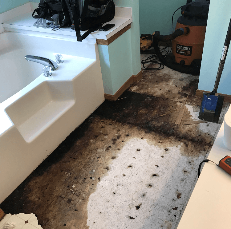 A bathroom with a bathtub and a vacuum cleaner