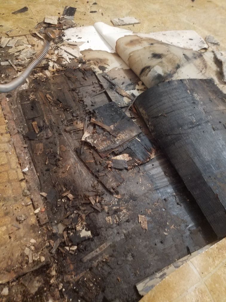 A piece of carpet is laying on a water damaged floor.