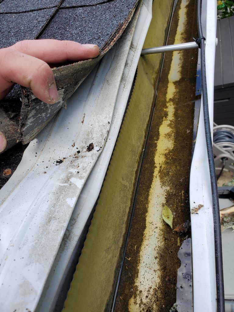 Gutter on roof damaged by tree.