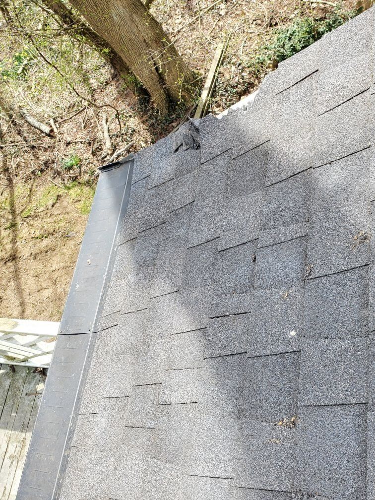 A close up of a roof with a tree in the background.