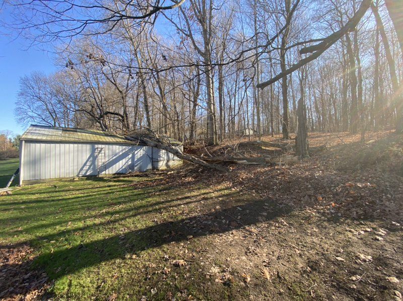 A white garage is sitting in the middle of a forest.