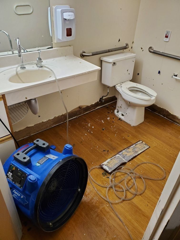A water damaged bathroom with a toilet, sink, and fan.