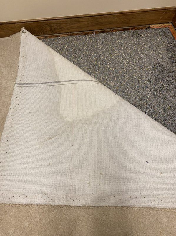 A piece of  is carpet is pulled back exposing padding which has been damaged by sewer backup.