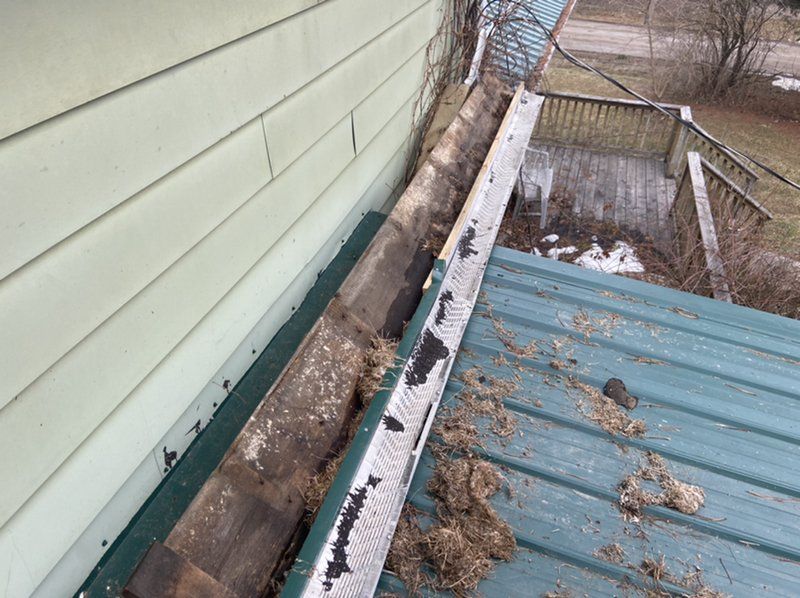 A gutter on the side of a house with a green roof that has water damage from ice dam.