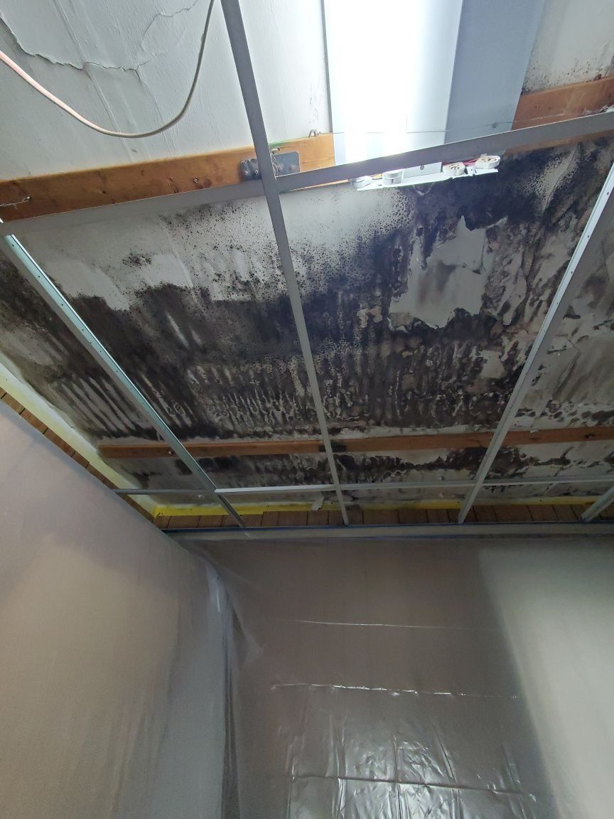 A damaged ceiling with a lot of black mold on it.