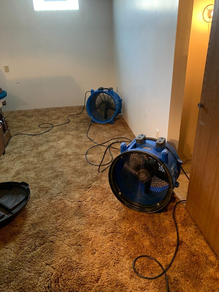 Two blue industrial fans are sitting on a carpeted floor in a room.
