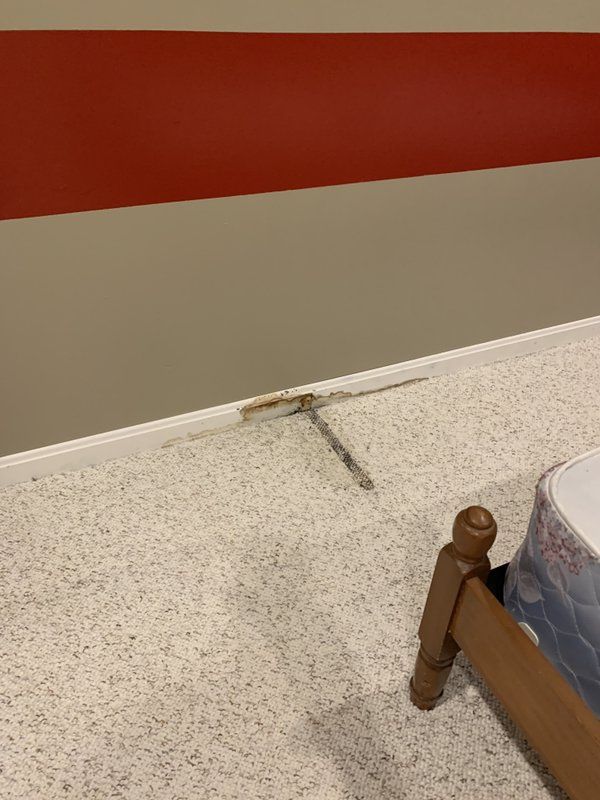 A bed is sitting on a carpeted floor next to a wall with mold.