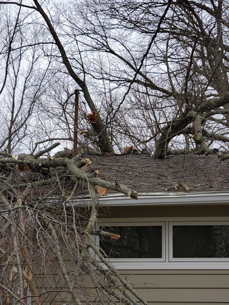 A tree has fallen on the roof of a house.