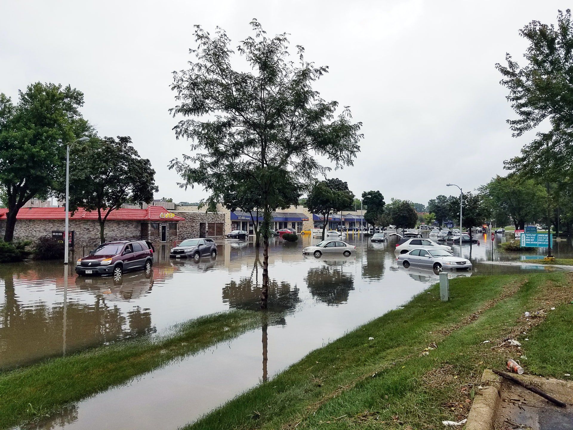 A flooded parking lot with cars and trees in it