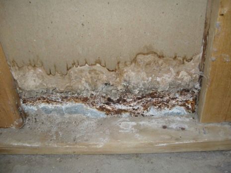 A close up of a wall with a wooden frame containing mold damage. 