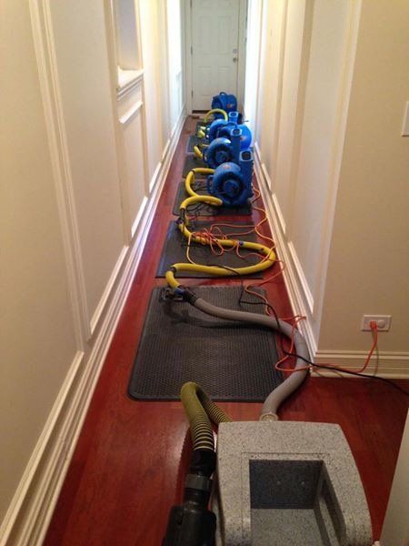A long hallway with a row of blue industrial dryers on the floor.