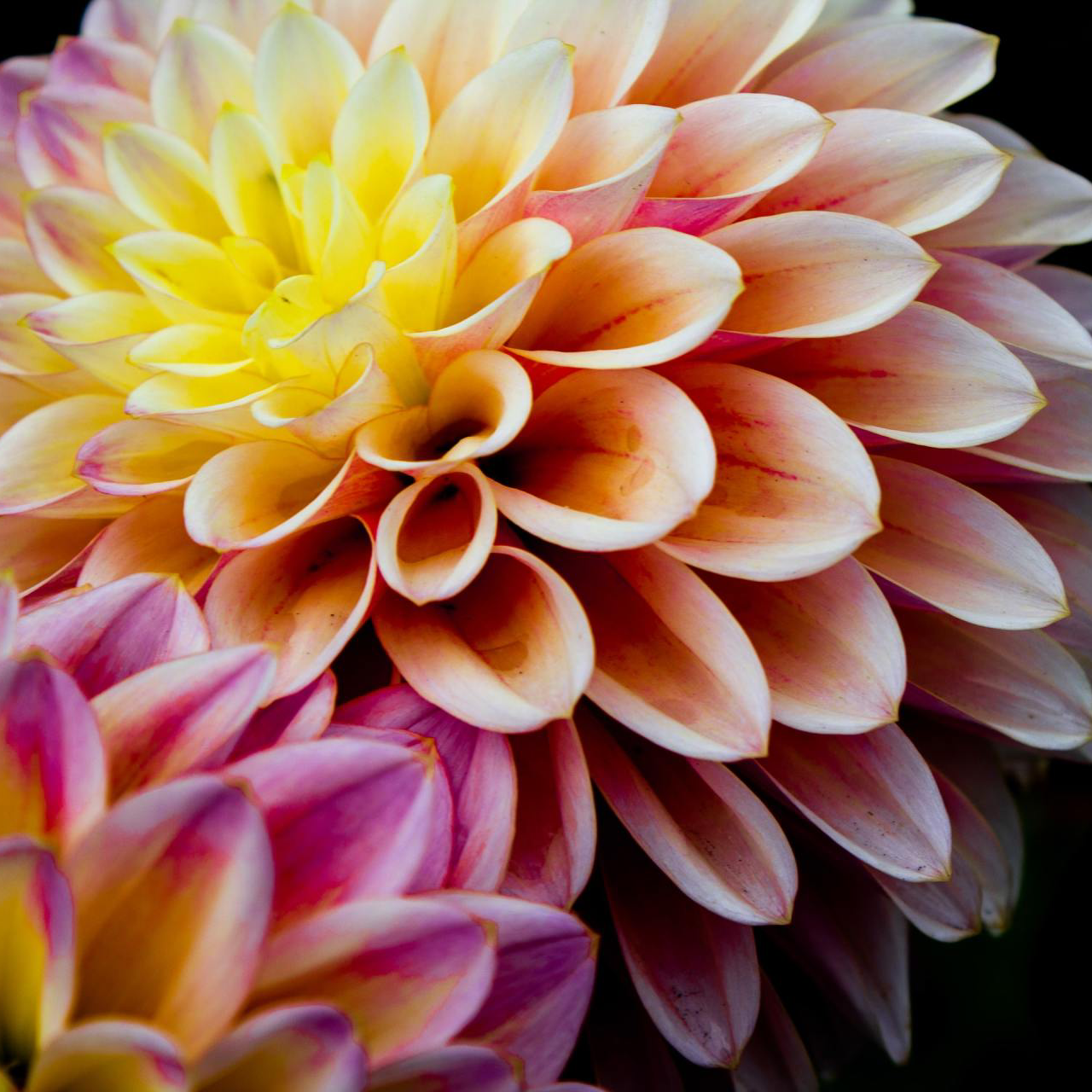 YOGA nach der Geburt