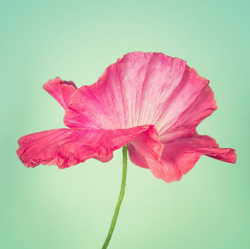 YOGA nach der Geburt