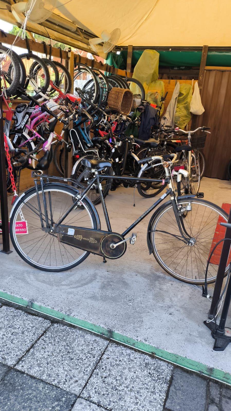 biciclette a noleggio per adulti e bambini per passeggiare sul lungomare