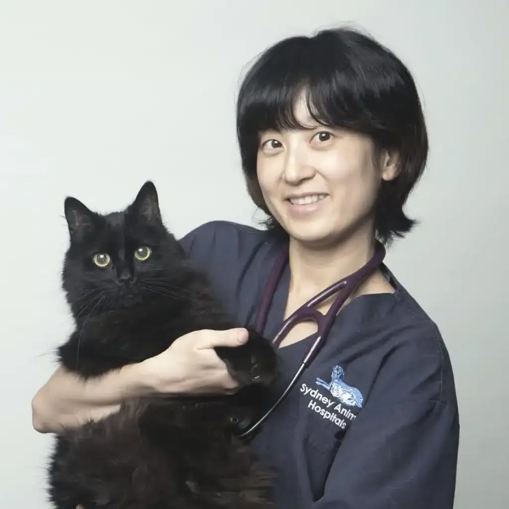 Woman in scrubs holding a black cat; Sydney Animal Hospitals logo on scrubs; smiles.