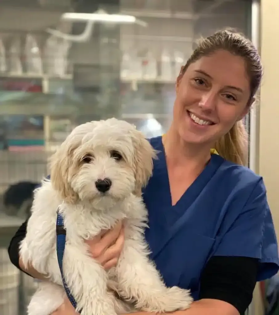 Woman in blue scrubs smiling, holding a fluffy white puppy. Inside a vet clinic.