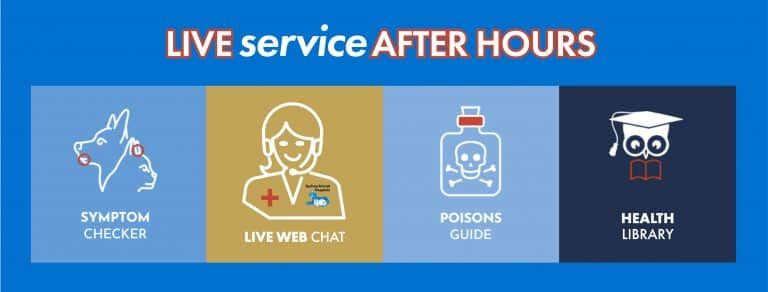 Live after-hours veterinary services: symptom checker, live chat, poison guide, and health library icons.