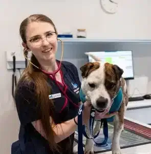 Veterinarian with a stethoscope examines a dog on an exam table in a clinic.