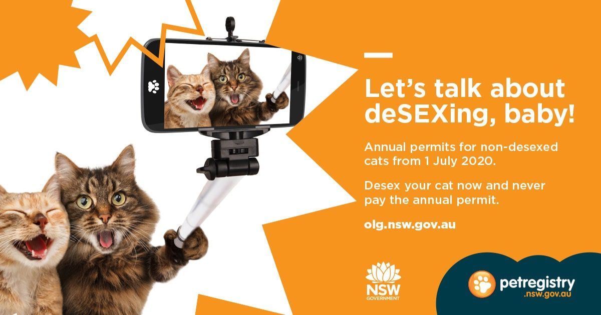 Cats taking a selfie promoting de-sexing. Orange background with text and government logos.