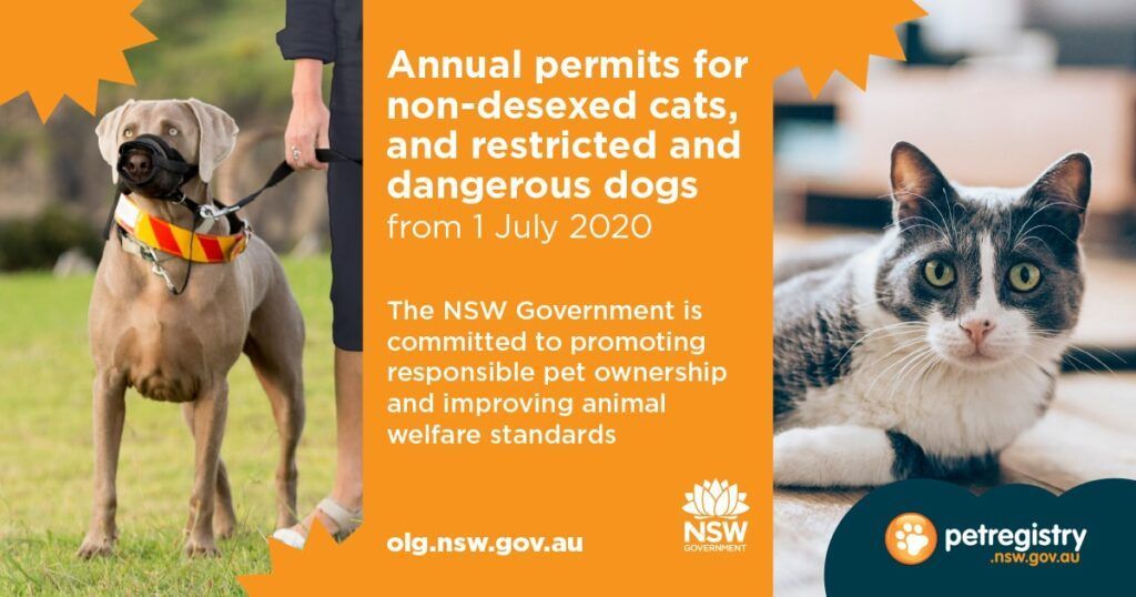 NSW Government introduction of annual permits for non-desexed cats and dangerous / restricted dogs
