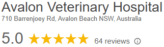 Avalon Veterinary Hospital with 5.0 rating, 64 reviews, and address in Avalon Beach, NSW, Australia.