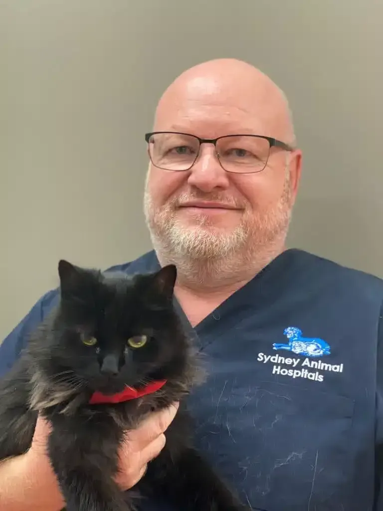 Man in blue scrubs holds a black cat. The man is bald, wearing glasses, and smiling. Sydney Animal Hospitals logo is visible.
