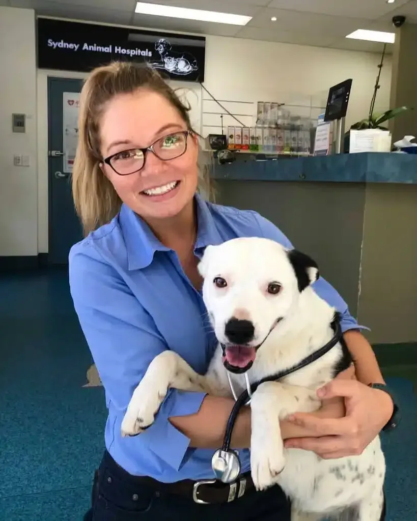 Woman in blue shirt holds a white and black dog at a vet clinic, smiling, stethoscope.