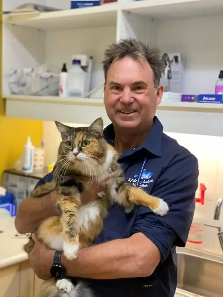 Man in blue shirt holding a calico cat in a vet's office.