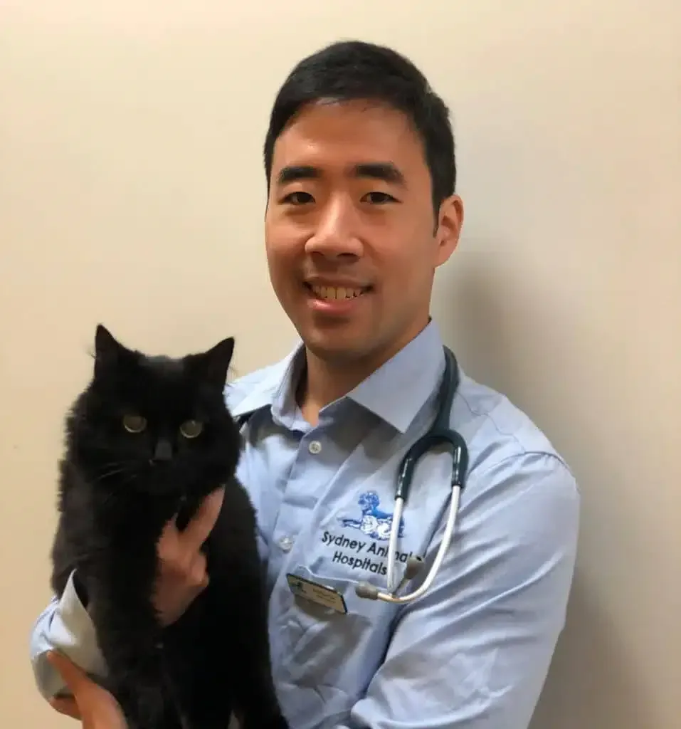 Man in light blue shirt holding a black cat, smiling.  Stethoscope around his neck.
