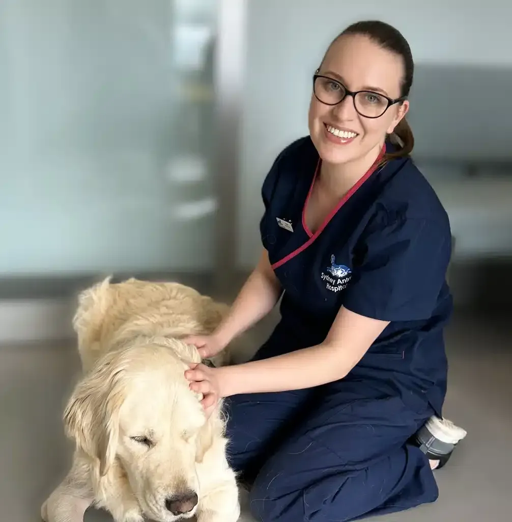 Veterinarian in blue scrubs smiles, petting a golden retriever in a clinical setting.