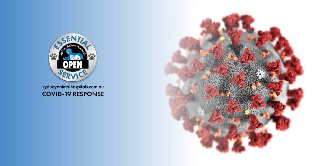 CORONAVIRUS (COVID-19)