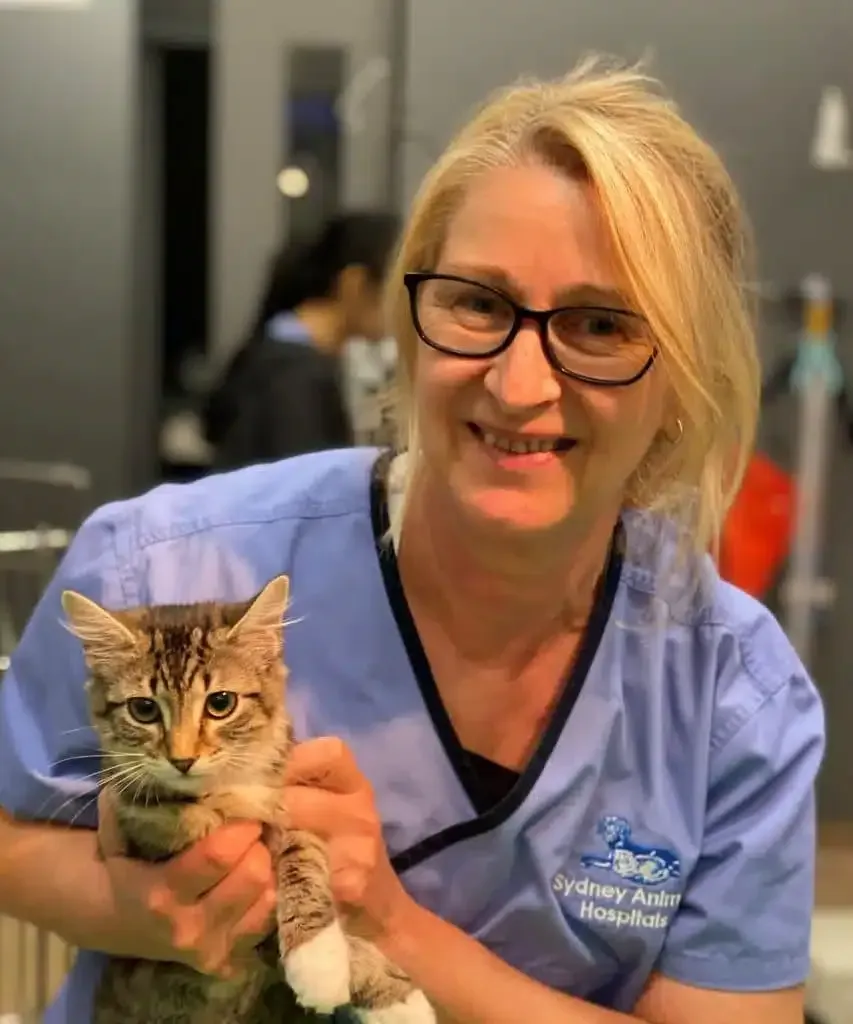 Woman in blue scrubs smiles, holding a tabby kitten. Hospital setting, logo on scrubs.